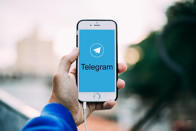 Brazil suspends Telegram app for not disclosing information on 'neo-Nazi' groups