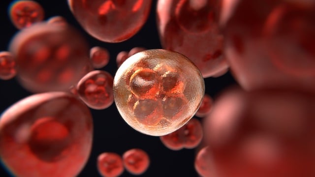 FDA Approves Cell Therapy to Reduce Infection Risk for Blood Cancer Patients after Stem Cell Transplant